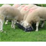 JFC 6ft Sheep Feed Trough