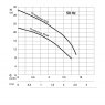 ABS Sulzer Piranhamat pump curve