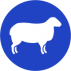 Alpaca, Cow, Sheep Alpaca, Cow, Sheep