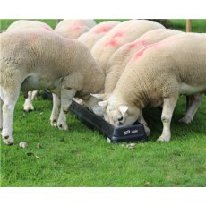 6ft Sheep Feed Trough