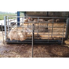 3m Sheep Footbath