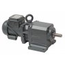 BG Motor Gearbox (Bauer)