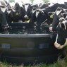 Paxton 2000 Litre Circular Drinking Trough in the field