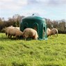 JFC Sheep Haybell Feeder