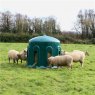 JFC Sheep Haybell Feeder