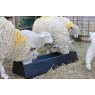 Paxton Paxton 16 Litre Feed Trough