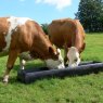 Paxton LF5 Feed Trough in field