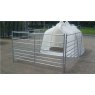 JFC Group Calf Hutch with Plain Penning and Teet Feeder